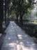 Akbar Road - This rod is very Cline and beautiful.
