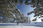 Snow is so pretty. - Snow is so pretty.