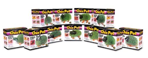 Chia Pets - Image of Chia Pets