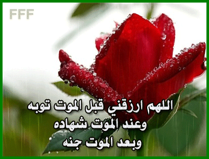 llllllll - hi friend