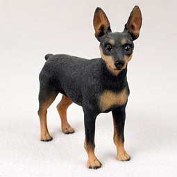 Mini Pincher - A black mini pincher