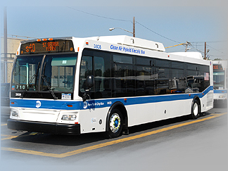 bus - public bus