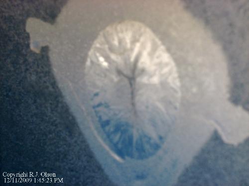 Ice Crystal - Looks like an artists rendition of an alien from another world to me. Ice Crystal - Looks like an artists rendition of an alien from another world to me.