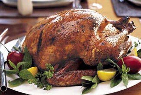 Holiday turkey - Turkey