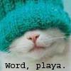Funny Kitty Pic - This is a really cute pic of a kitty in a silly toque!
