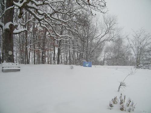 Christmas Card Snow - It's here! It's here!!! We have at least a foot of snow with at least another 14 hours of the white stuff to come yet.