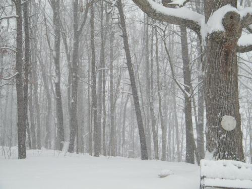 Snow! - Here is our beautiful snow. It is so lovely and so peaceful outside right now. It always seems so quiet when the snow is falling.