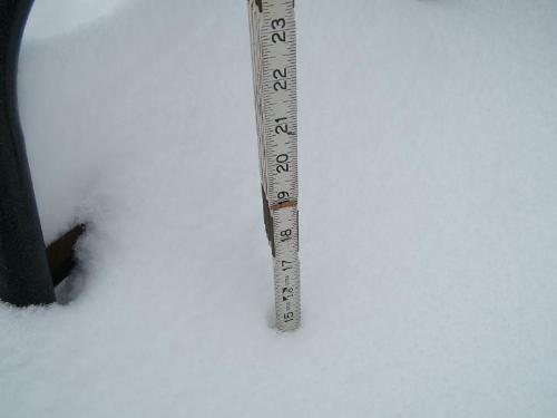 15 inches and counting! - It's over the tops of my snow boots now! I think maybe making a snow angel is out of the question now. If I laid down in the snow, I'd be buried! LOL