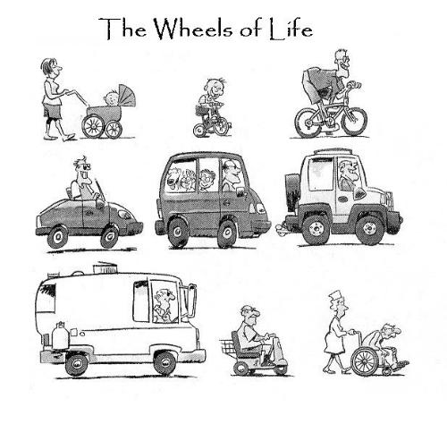 Wheel of Life - Funny, isnt it?