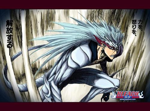 Japanese Animation - The Photo above shows a Japanese anime 'Bleach' which is an example of japanese animation that is the world by storm, japanese animation is popular all around the world like. Unlike anything japanese animation is unique and earns alot of money every year, with alot of countries editing the animation with Dubs that appleals to their audience.
