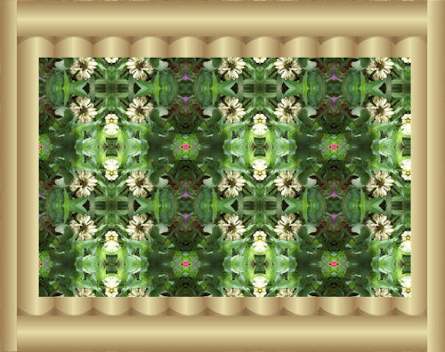 Photo Alter - Photo alter created from a photograph using corel software.