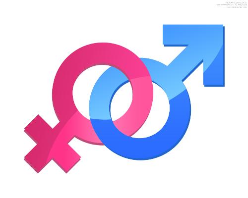Boy and Girl - Symbol or sign of male and female. I wish this could be affixed or prefixed to our user names for better myLot experience.