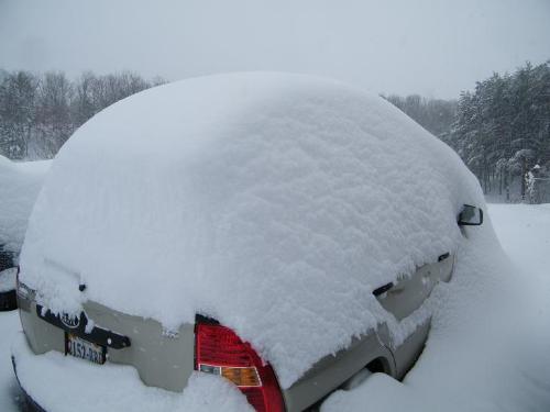 My SUV - Don't think I'll be driving anywhere today.