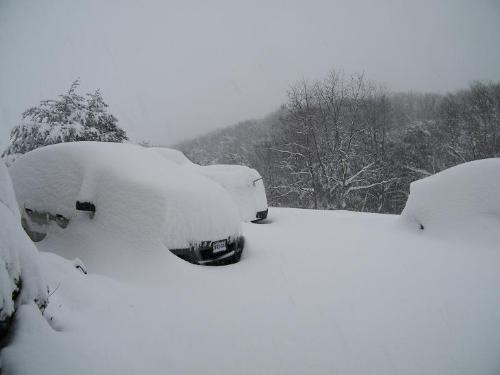 My SUV, husband's truck and son's car - Here are our vehicles right now, taken about 4:30 p.m. and it's not supposed to stop snowing until at least 9:00 p.m. tonight! It is still coming down very heavily.