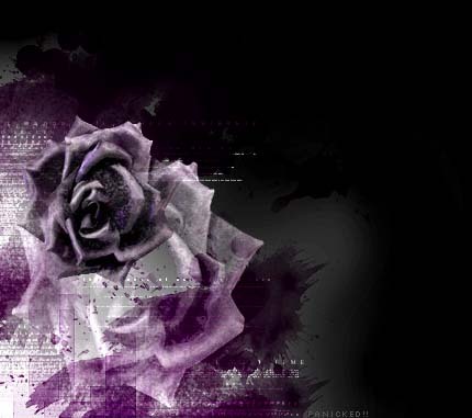 rose - roses are red, violets are blue I am here... but where are you?