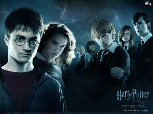 harry potter - i am a fan of harry.