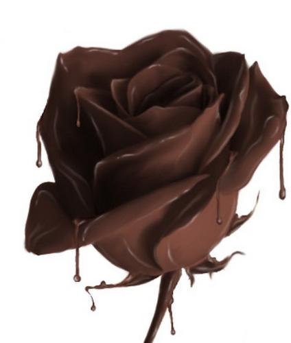 rose - a melty chocolate rose