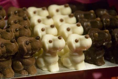 dogs - tiny candy dogs made out of chocolate