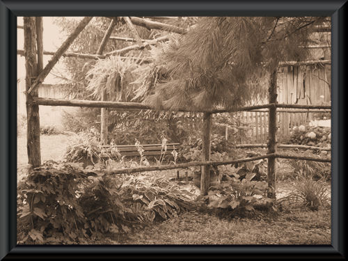 Photo Alter - Photo altered using corel software, http://smalldogs2.com/FairydewArt