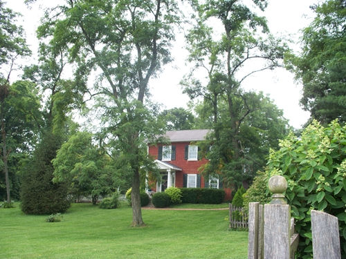Photo  - Photo taken with Kodak Point and Shoot, http://smalldogs2.com/FairydewArt
