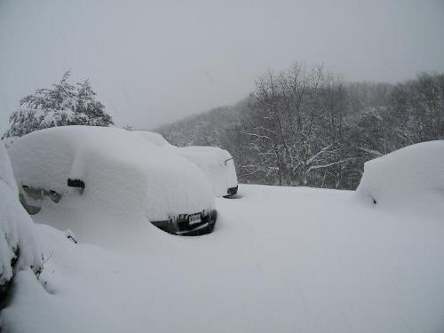 Blizzard 2009 - Actually, WE didn't have blizzard conditions but along the shoreline in the Mid-Atlantic, there were plenty of blizzard warnings. We just got a chitload of snow!