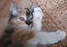 recollection - Oh, she is awake, assumes a very comfortable posture and recalls the before things.