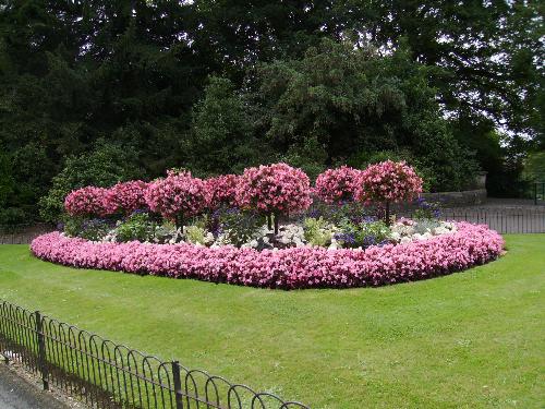Lovely floral arrangements - Lovely floral arrangements from a park in Bath.