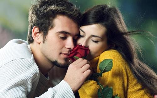 lover - rose
