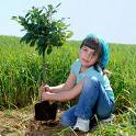 Tree planting - A girl planting a tree.