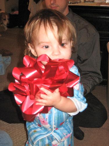 Pretty red bow - Savanna loved the bow best of all. Pretty red bow - Savanna loved the bow best of all.