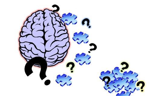 the brain  - the brain and questions on how it works