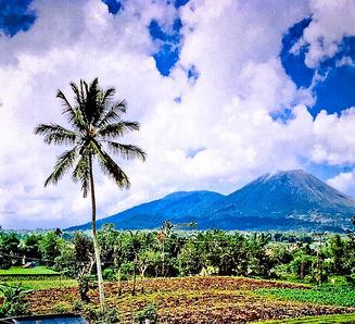 Highland & Volcano scenic - Manado-North Sulawesi