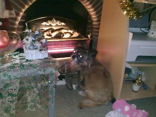 Baby it is cold outside - Gissi was cold very cold Baby it is cold outside - Gissi was cold very cold