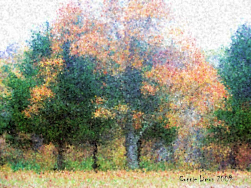 Altered Photo - Photo altered to seurat painting using corel software, http://smalldogs2.com/FairydewArt