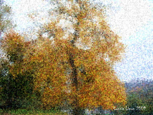 Altered Photo - Photo altered to seurat painting using corel software, http://smalldogs2.com/FairydewArt
