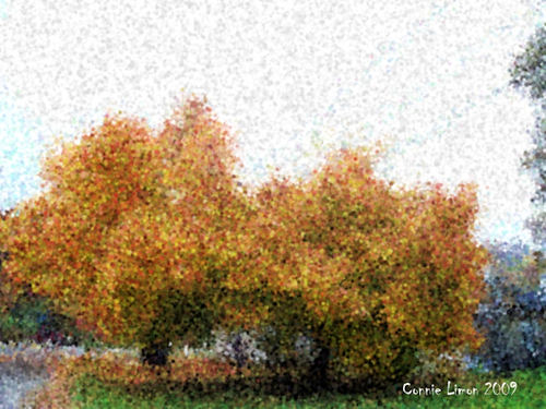 Altered Photo - Photo altered to seurat painting using corel software, http://smalldogs2.com/FairydewArt