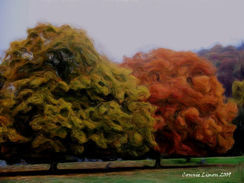 Altered Photo - Photo altered to classical oil effect using corel software, http://smalldogs2.com/FairydewArt