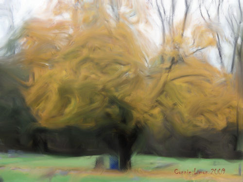 Altered Photo - Photo altered to gouache painting using corel software, http://smalldogs2.com/FairydewArt