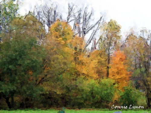 Altered Photo - Photo altered to watercolor sketch using corel software, http://smalldogs2.com/FairydewArt
