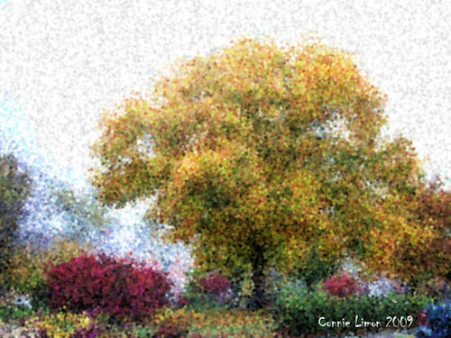 Altered Photo - Photo altered to seurat effect using corel software, http://smalldogs2.com/FairydewArt