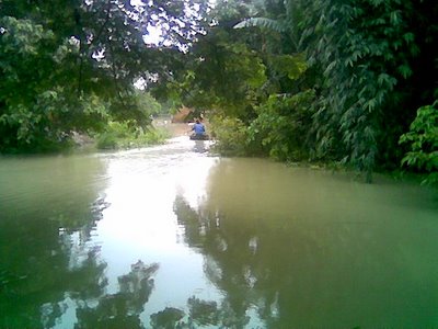 Nature - Nature of Bangladesh