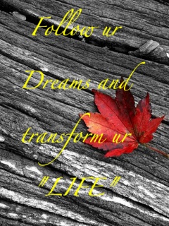dreamssss - work smart to achieve your dreams