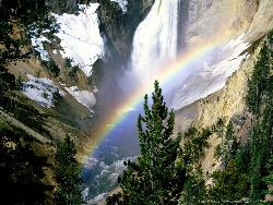 rainbow - colours of life