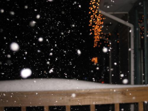 Icicle lights - Glowing orange in the snowstorm.