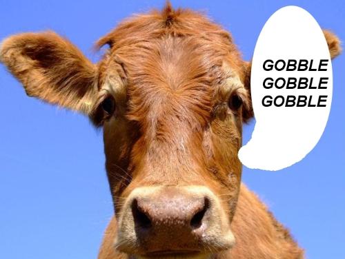 Beef? Gobble Gobble - Turkey makes good spaghetti too, be it white meat, dark meat, or 'fake' beef.