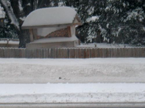 Bird Feeder - Even the birds feeder is snow covered.