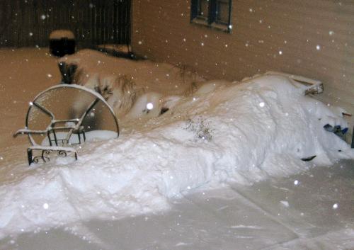 Snowstorm - My backyard at 1 a.m. as the snow started to  fall here in Minnesota on Christmas Eve 2009.