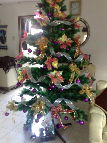 christmas - christmas tree