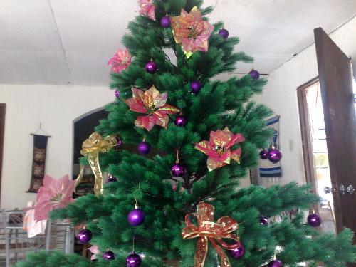 christmas - christmas tree