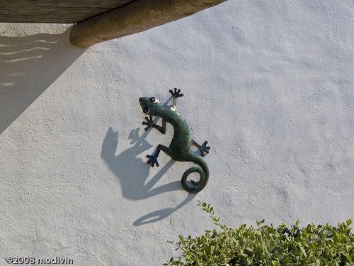 gecko - Gecko, gecko